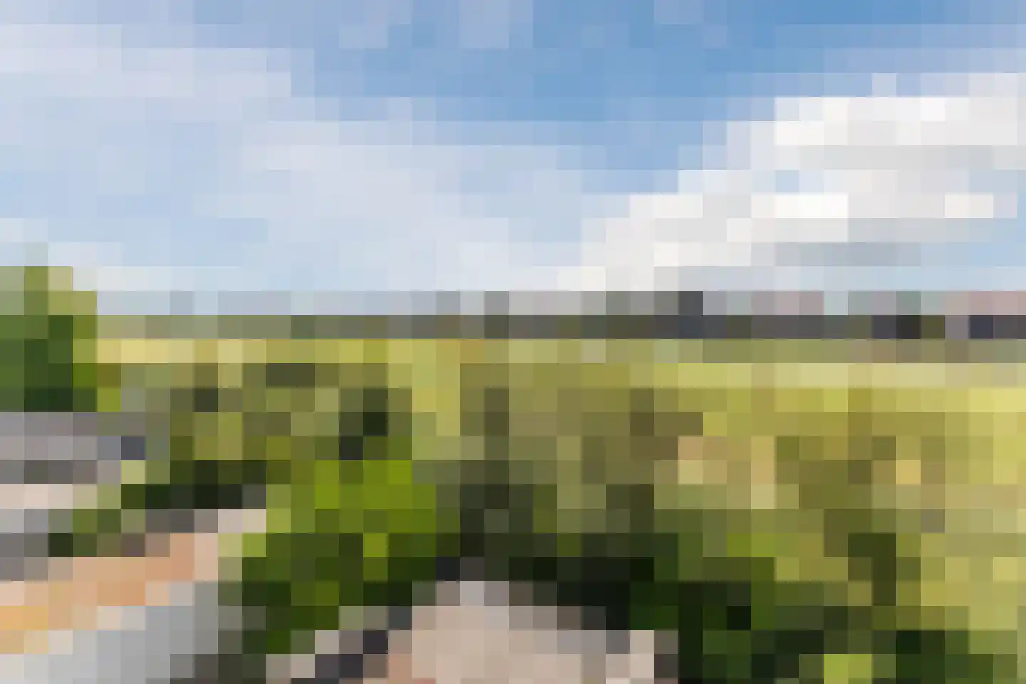 Monte Viso 11 Amsterdam thumbnail 62