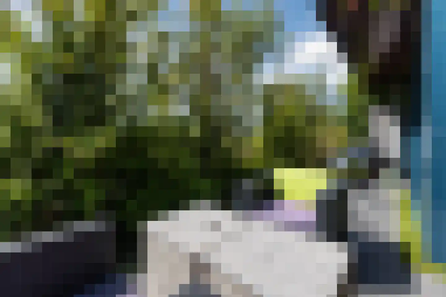 Monte Viso 11 Amsterdam thumbnail 65