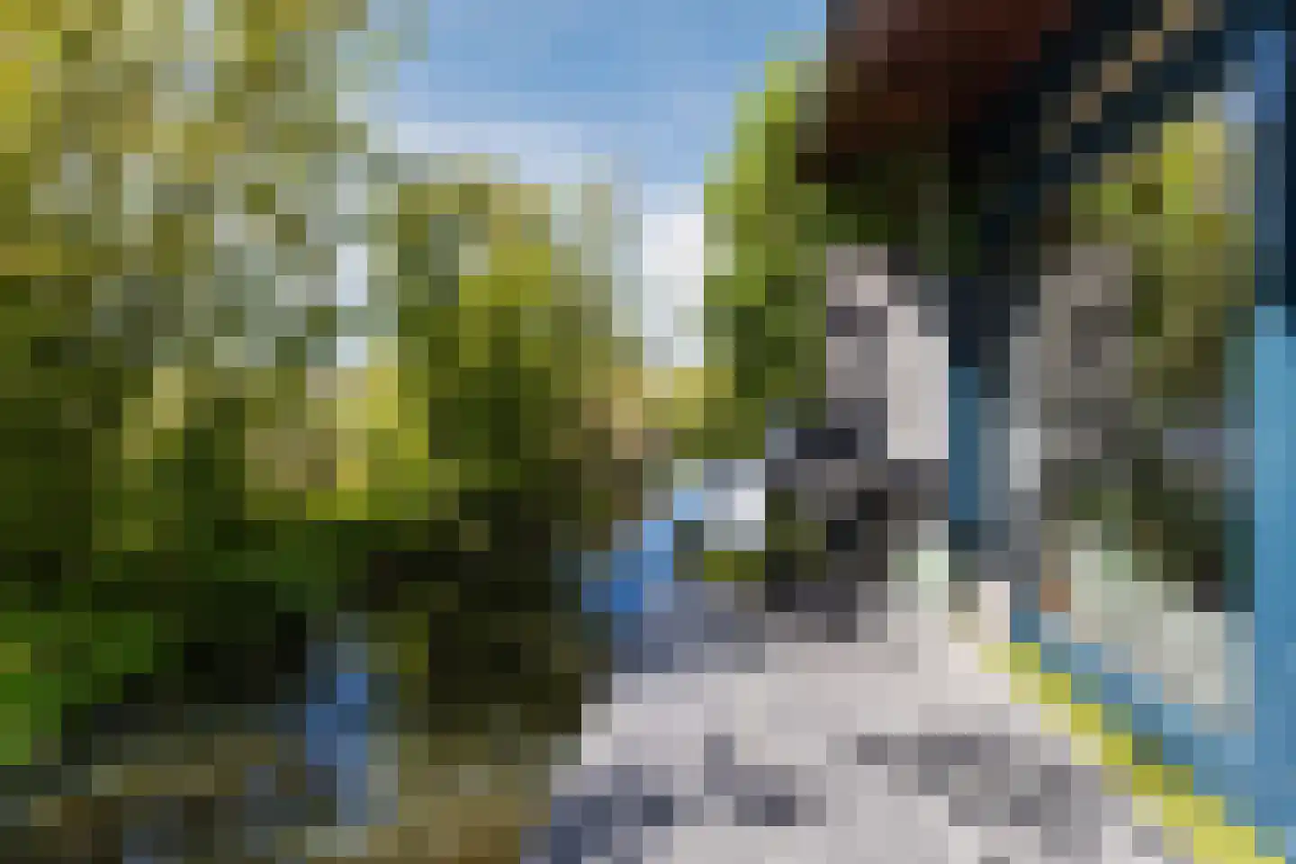 Monte Viso 11 Amsterdam thumbnail 68