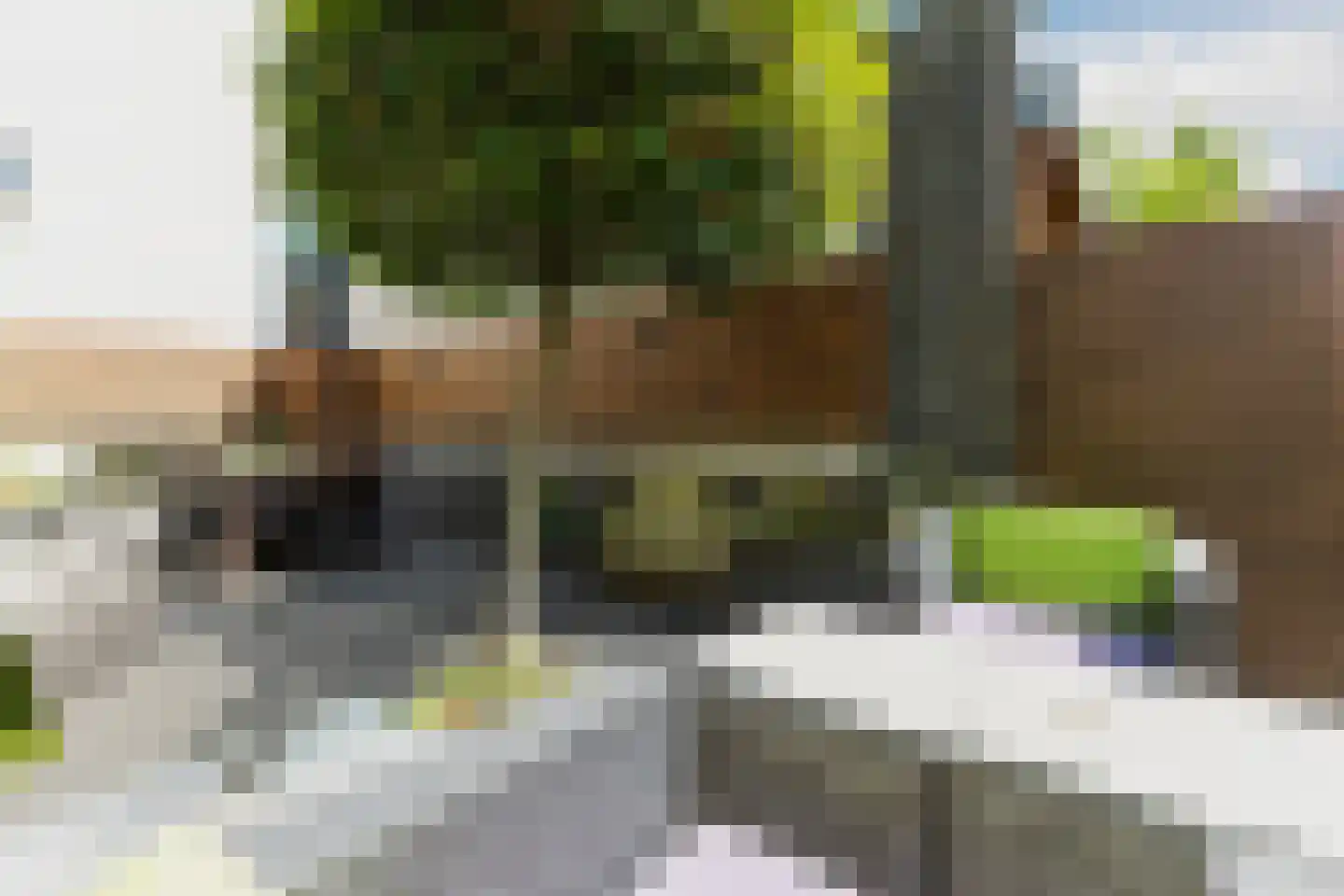 Monte Viso 11 Amsterdam thumbnail 70