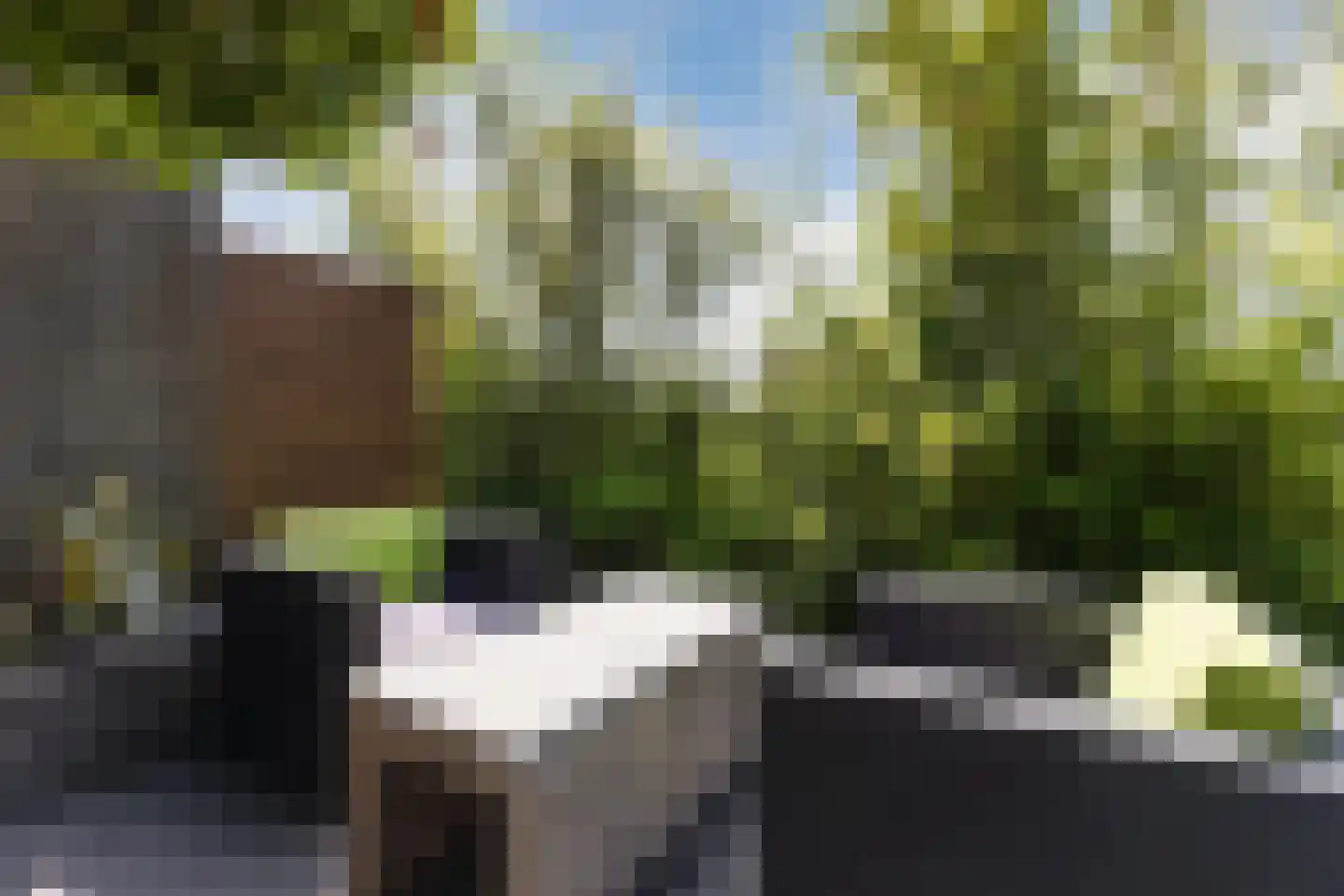 Monte Viso 11 Amsterdam thumbnail 71