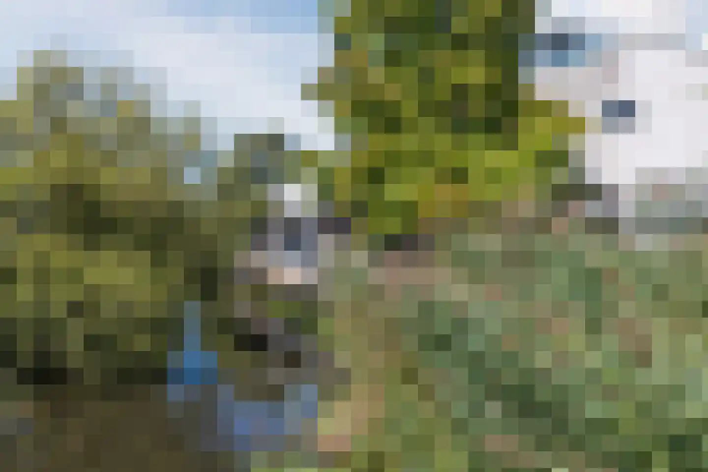 Monte Viso 11 Amsterdam thumbnail 72