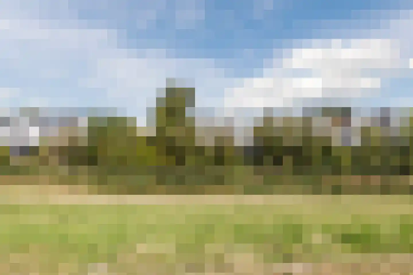 Monte Viso 11 Amsterdam thumbnail 75