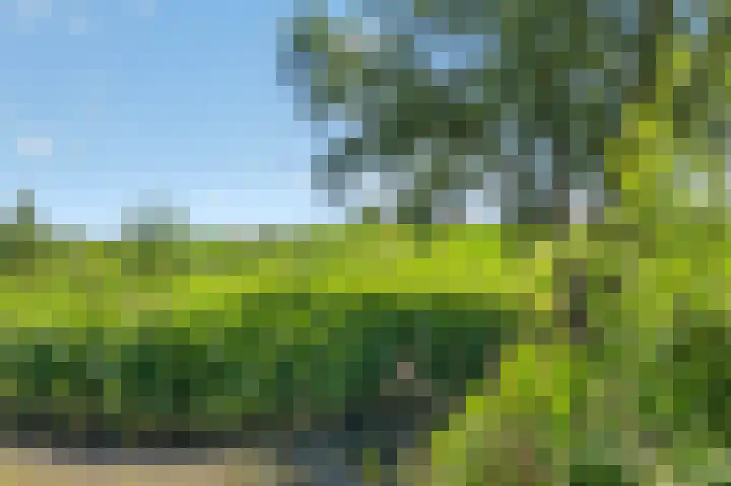 Monte Viso 29 Amsterdam thumbnail 52