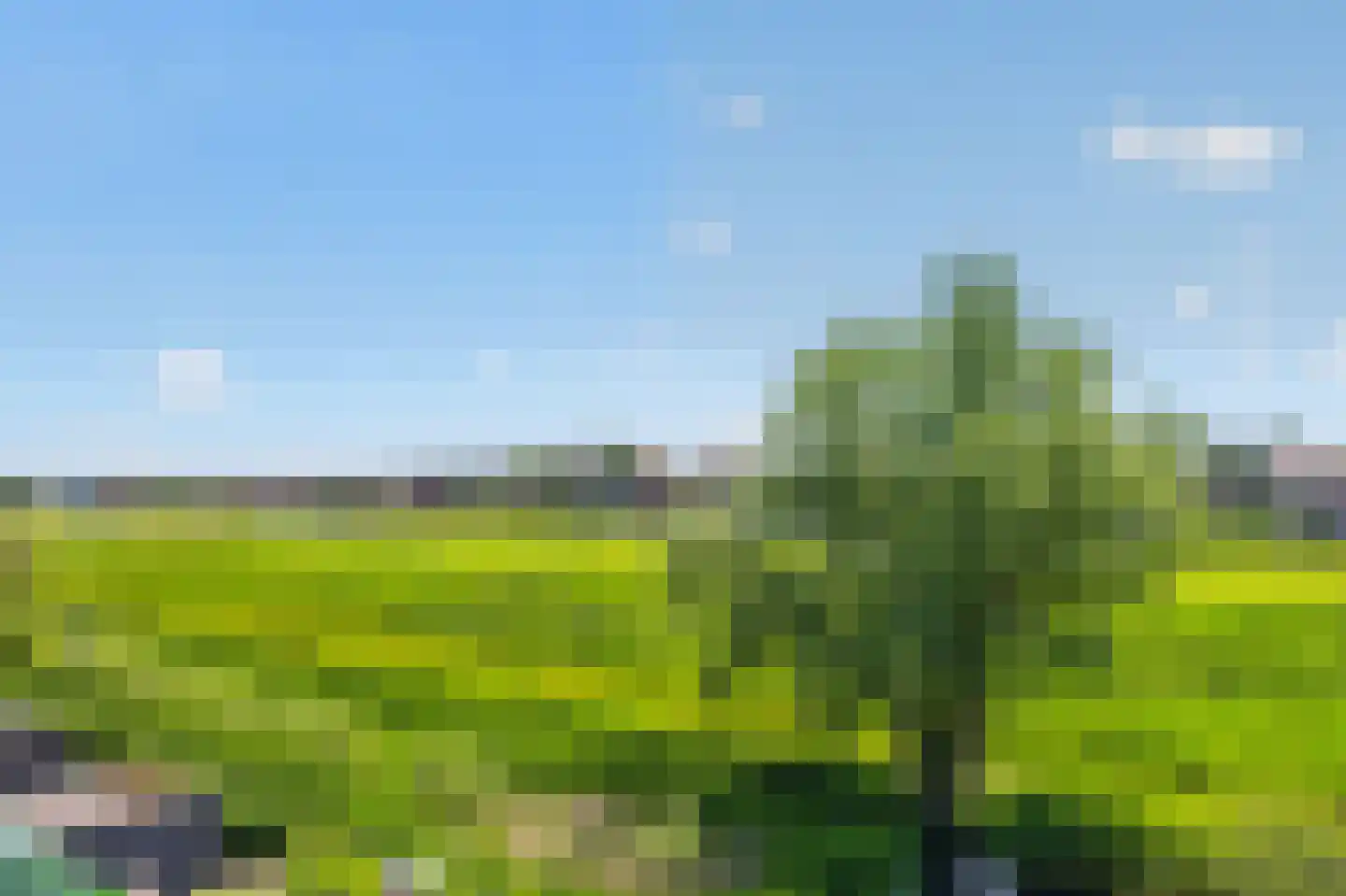 Monte Viso 29 Amsterdam thumbnail 53