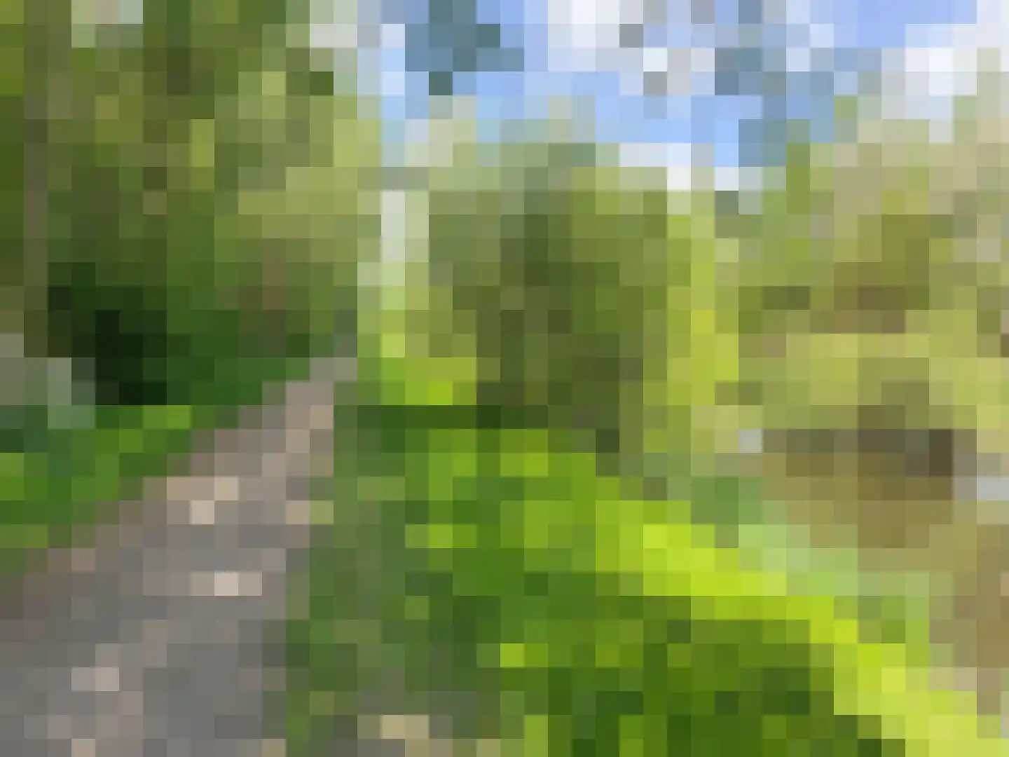 Monte Viso 29 Amsterdam thumbnail 54