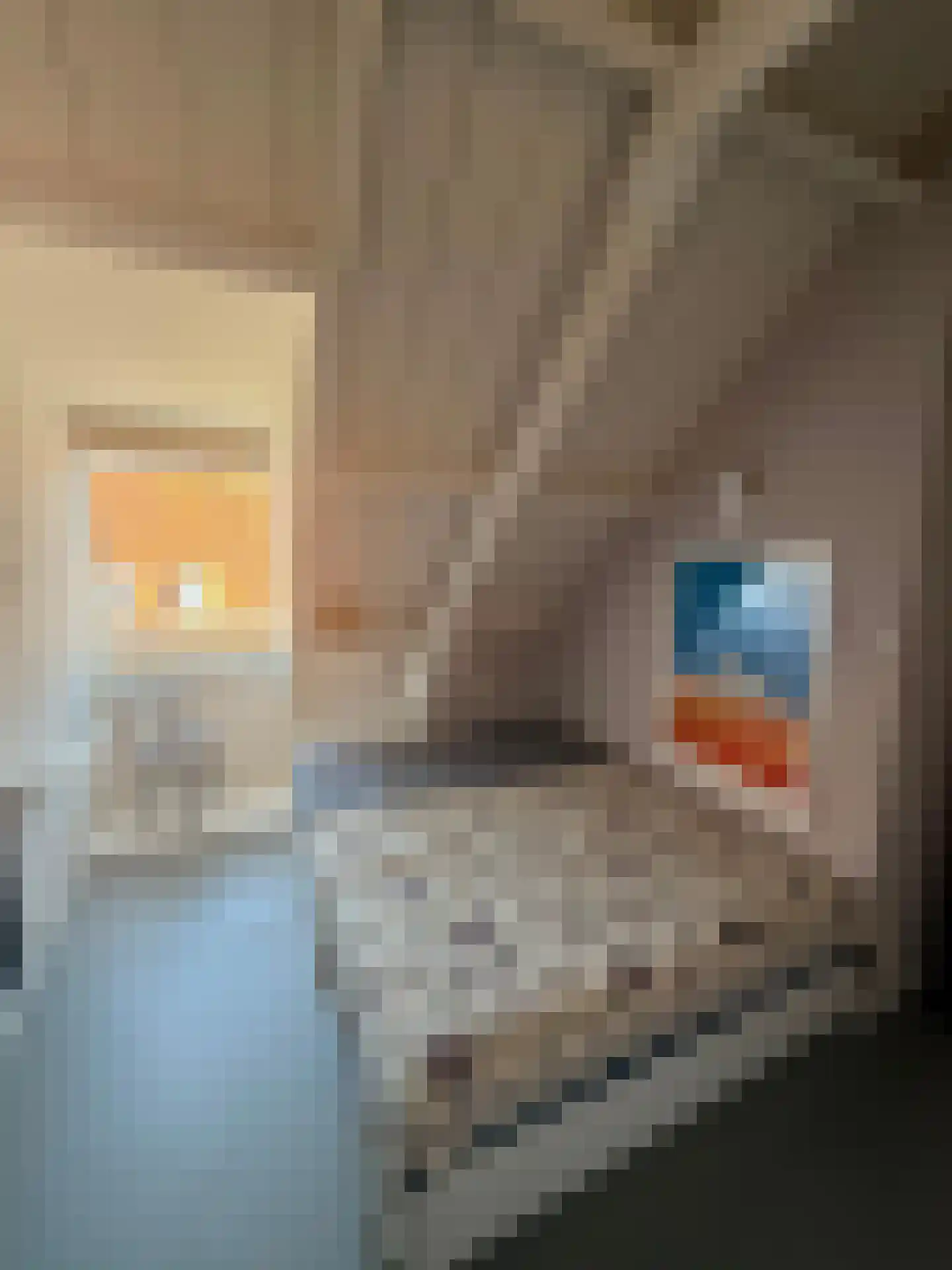 Montelbaanstraat 20 Amsterdam thumbnail 18