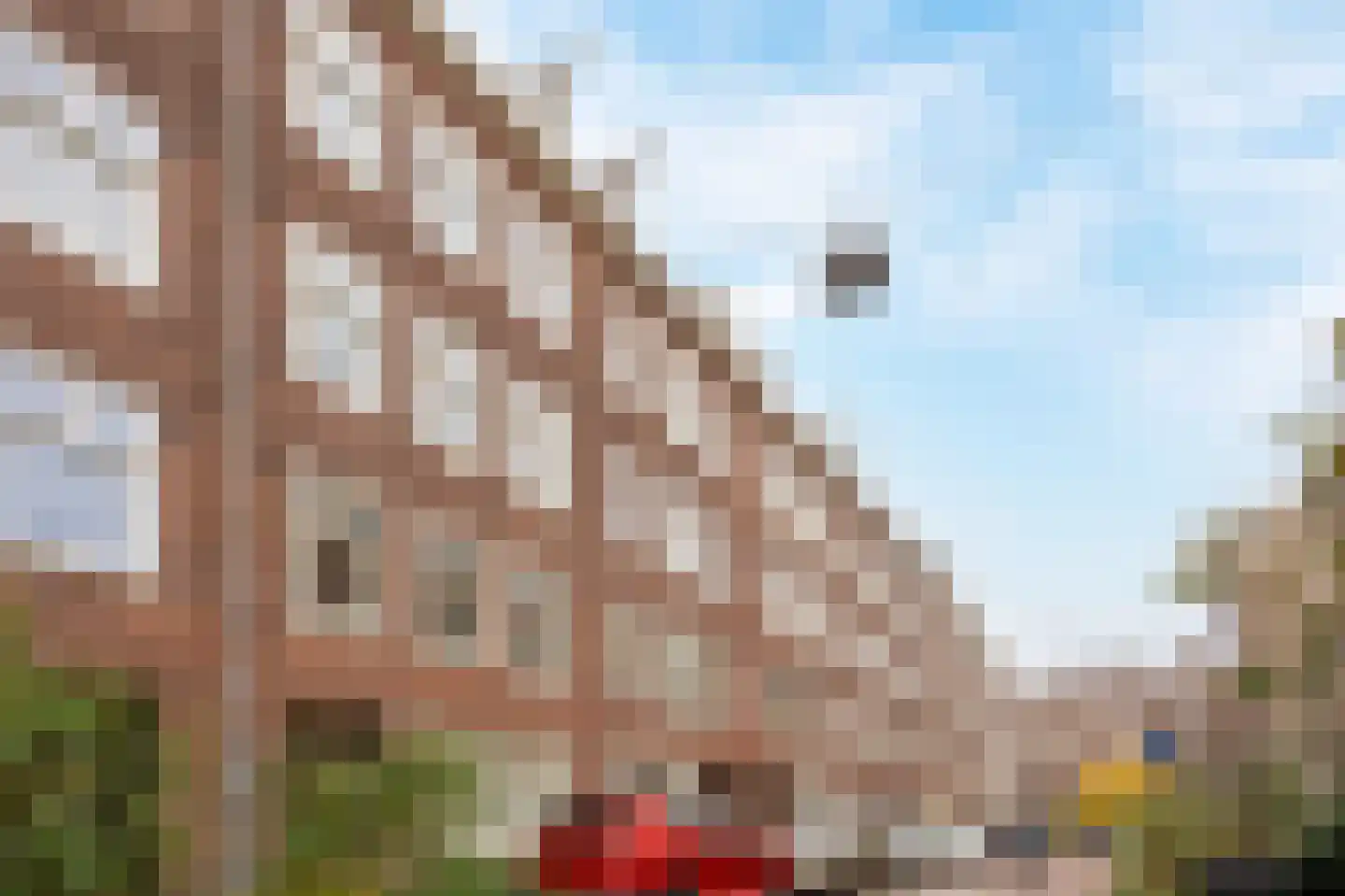 Montelbaanstraat 5 2 Amsterdam thumbnail 19