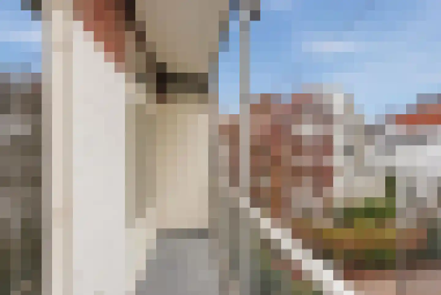 Montelbaanstraat 9 3 Amsterdam thumbnail 12