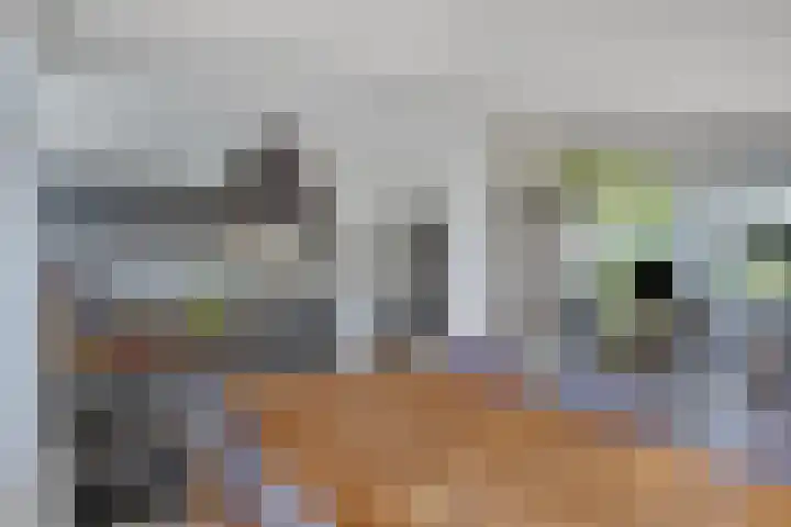 Montenaken 31 Steenbergen thumbnail 11