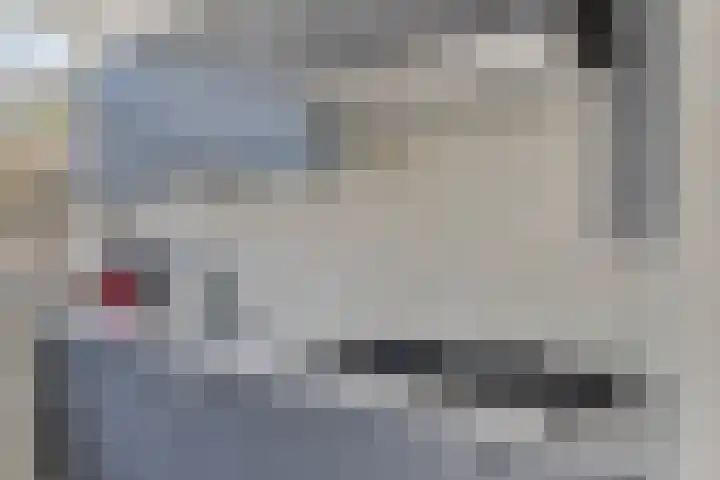 Montenaken 31 Steenbergen thumbnail 13