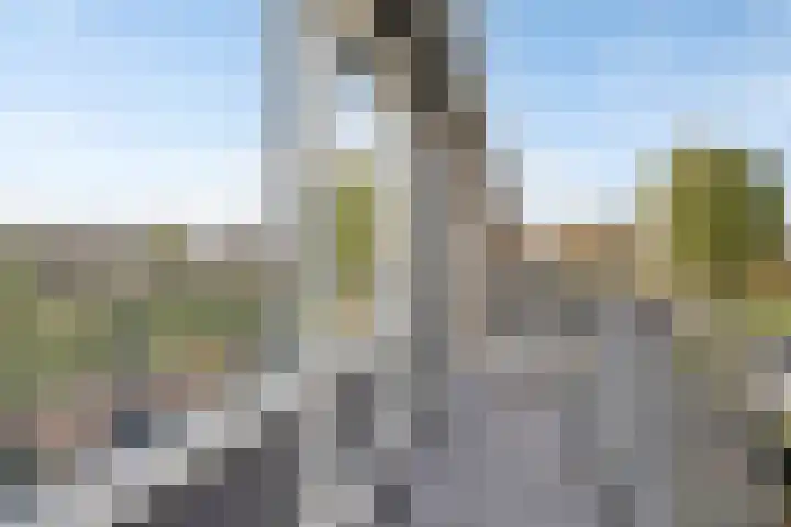 Montenaken 31 Steenbergen thumbnail 20