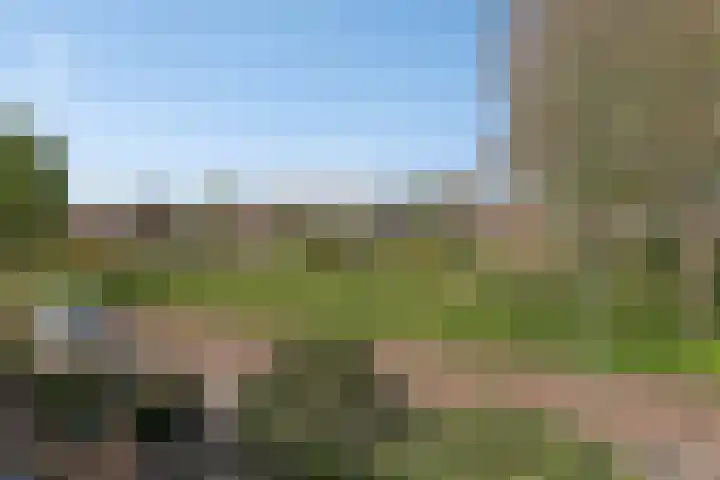 Montenaken 31 Steenbergen thumbnail 21