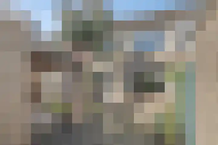 Montenaken 31 Steenbergen thumbnail 37
