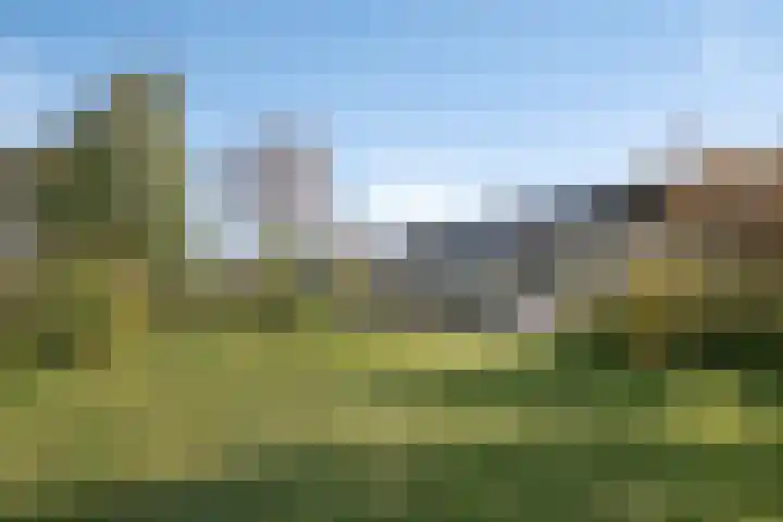 Montenaken 31 Steenbergen thumbnail 45