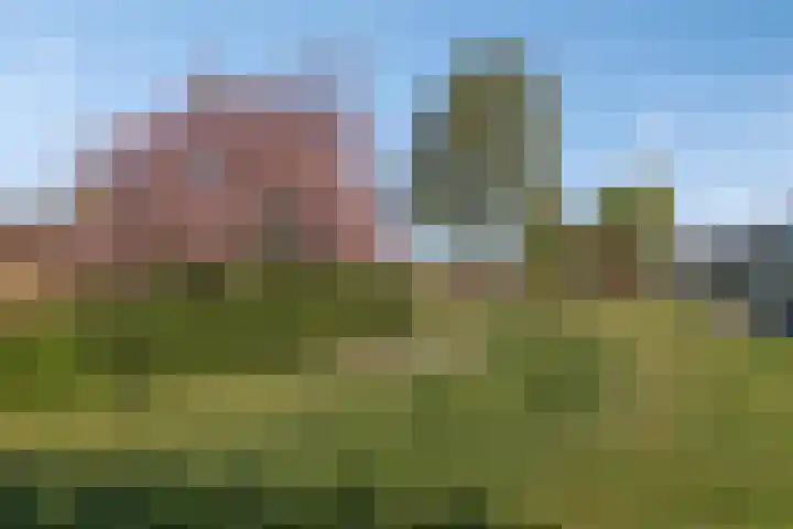 Montenaken 31 Steenbergen thumbnail 46