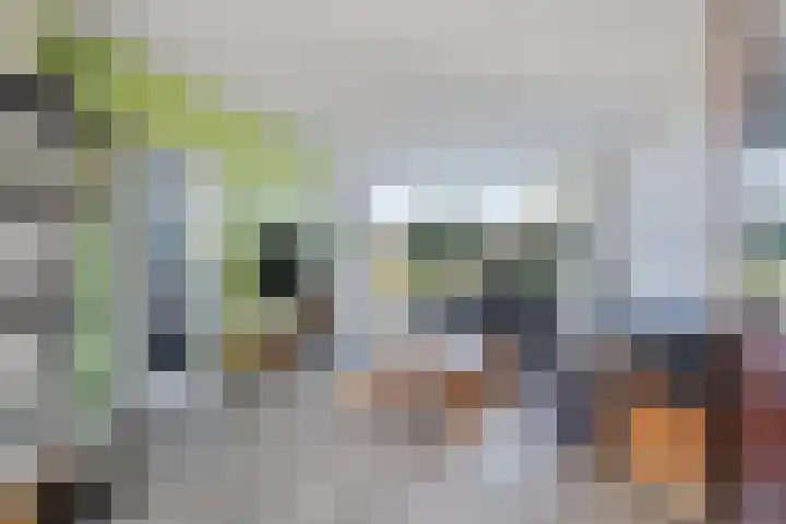 Montenaken 31 Steenbergen thumbnail 7