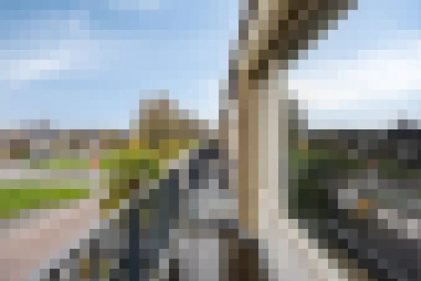 Montenaken 49 Steenbergen thumbnail 18