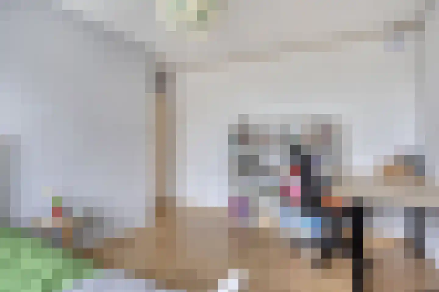 Montenaken 49 Steenbergen thumbnail 21