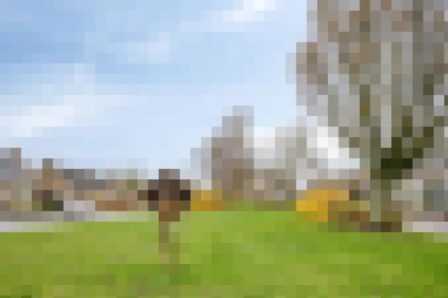 Montenaken 49 Steenbergen thumbnail 31