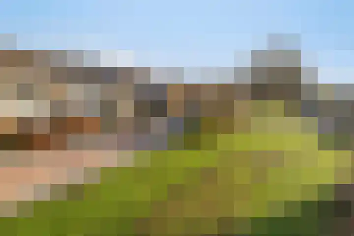 Montenaken 53 Steenbergen thumbnail 42