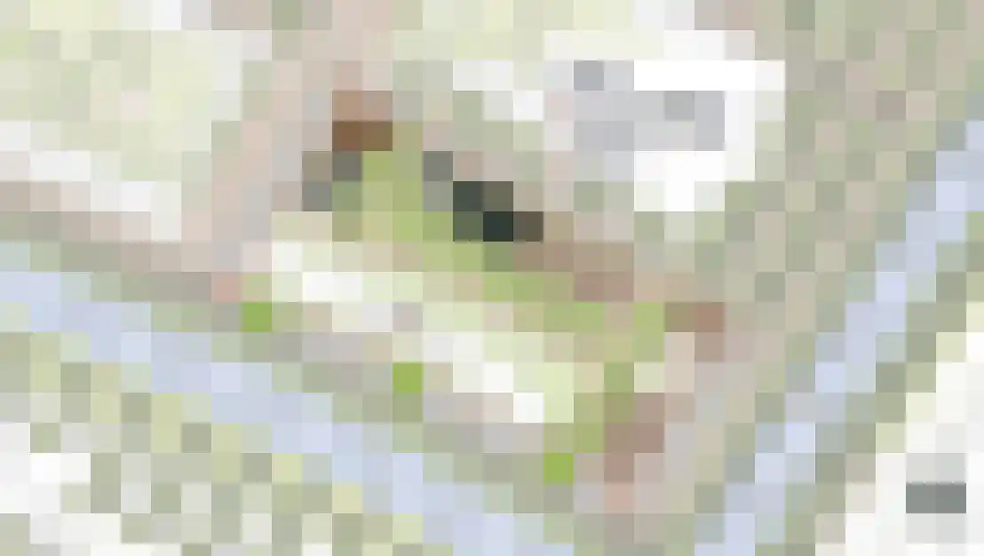 Montenegrostraat 17 Almere thumbnail 4