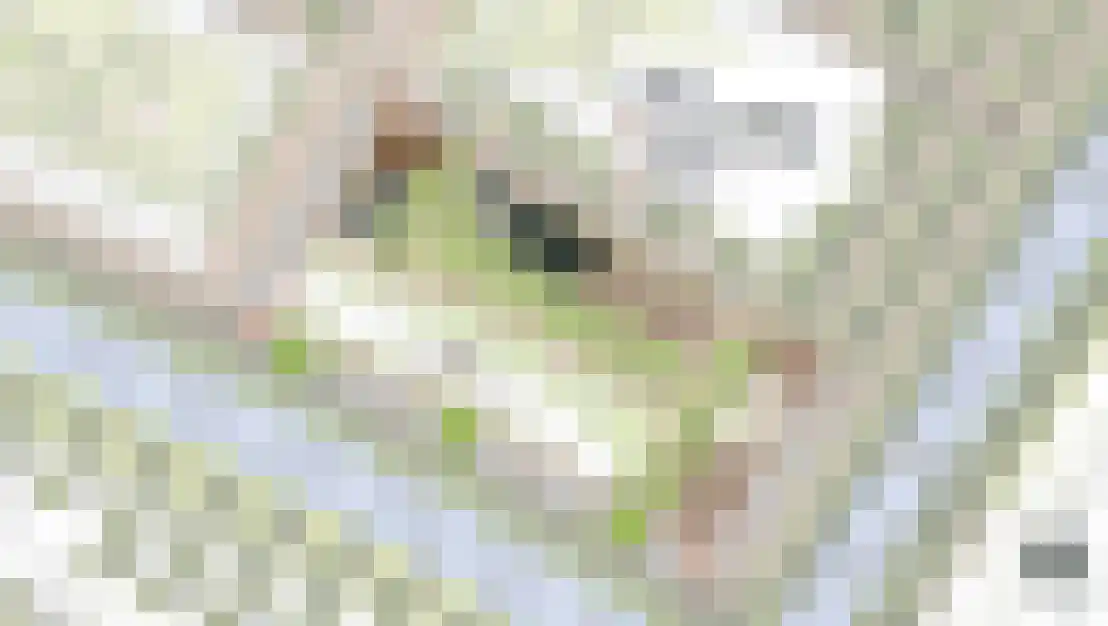 Montenegrostraat 5 Almere thumbnail 5