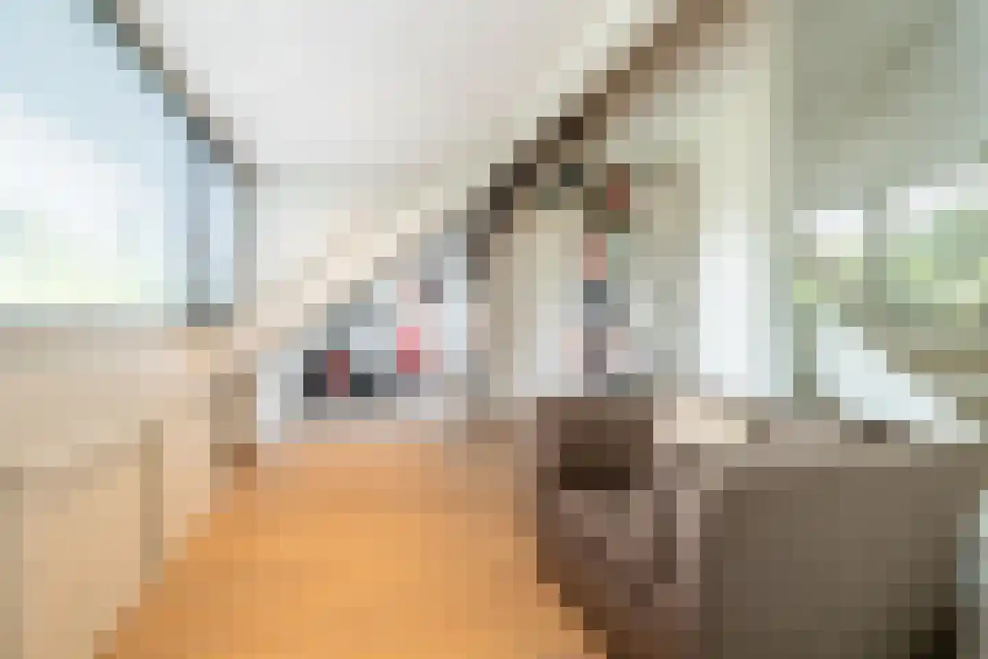 Montenslaan 26 Breda thumbnail 34