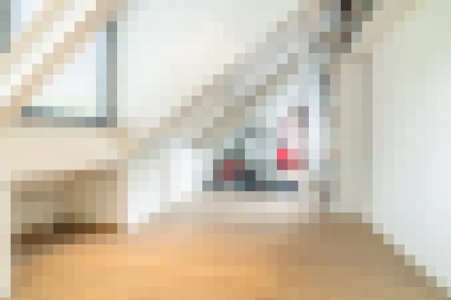 Montenslaan 26 Breda thumbnail 35