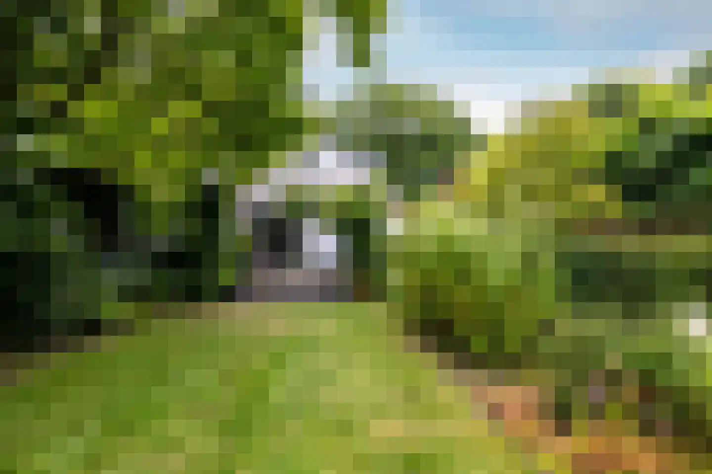 Montenslaan 26 Breda thumbnail 43