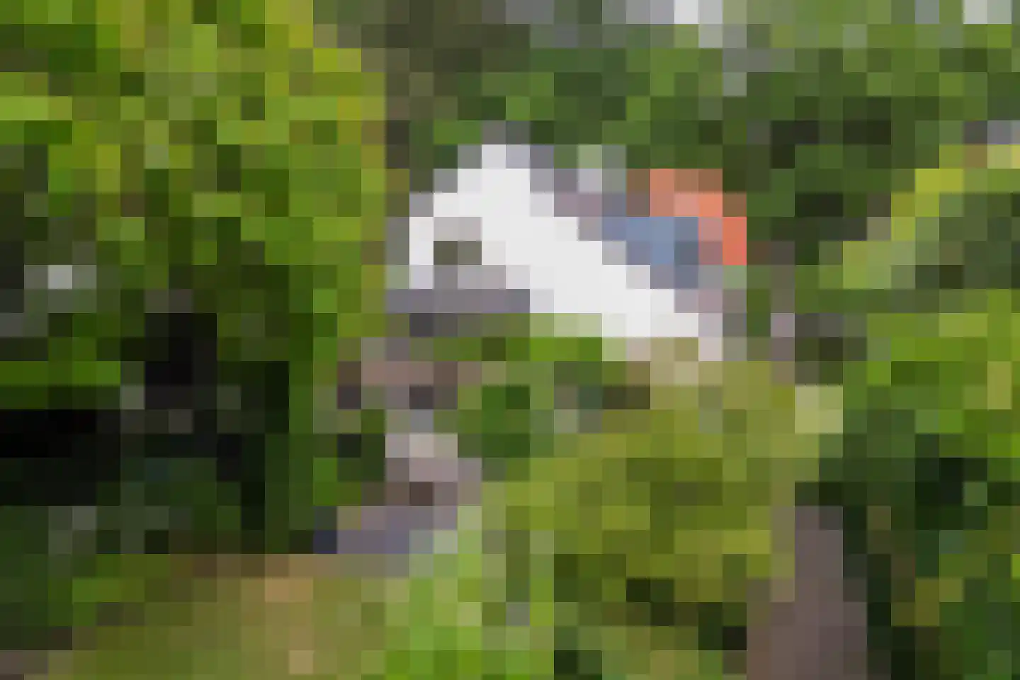 Montenslaan 26 Breda thumbnail 5