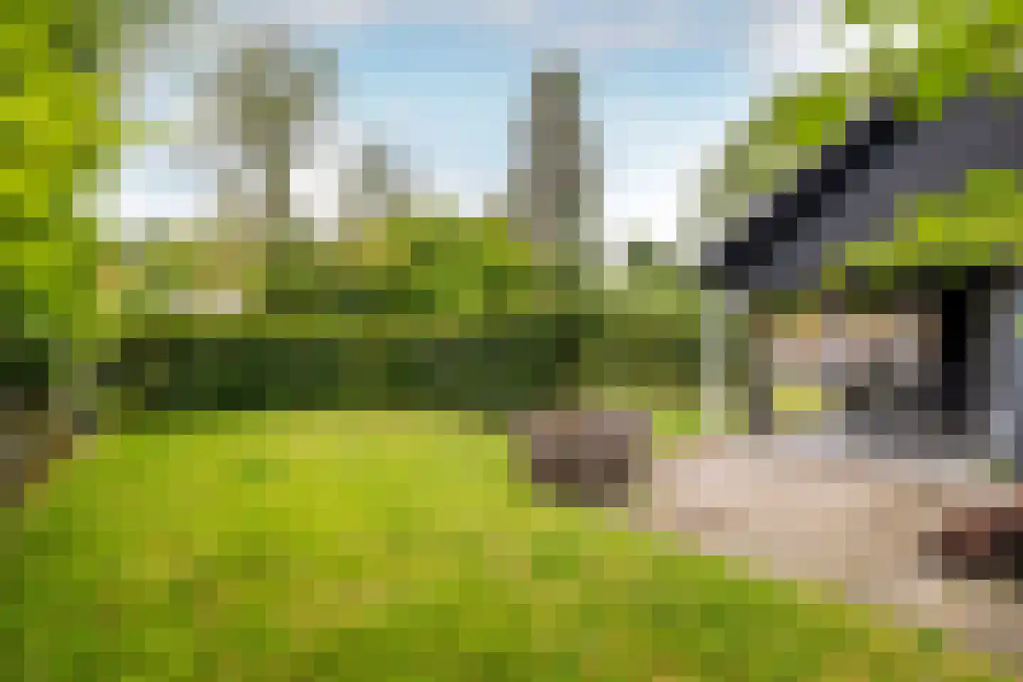 Montenslaan 26 Breda thumbnail 50