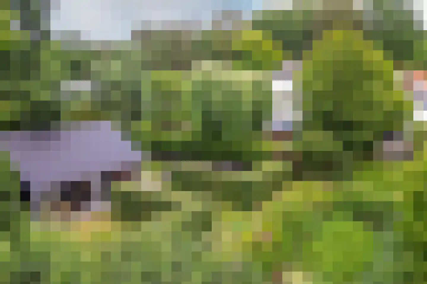 Montenslaan 26 Breda thumbnail 58