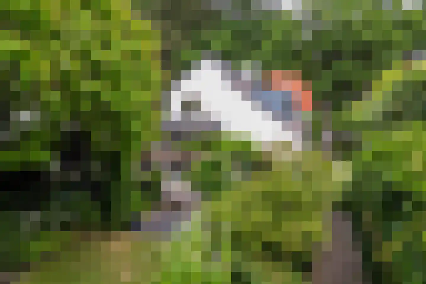 Montenslaan 26 Breda thumbnail 63