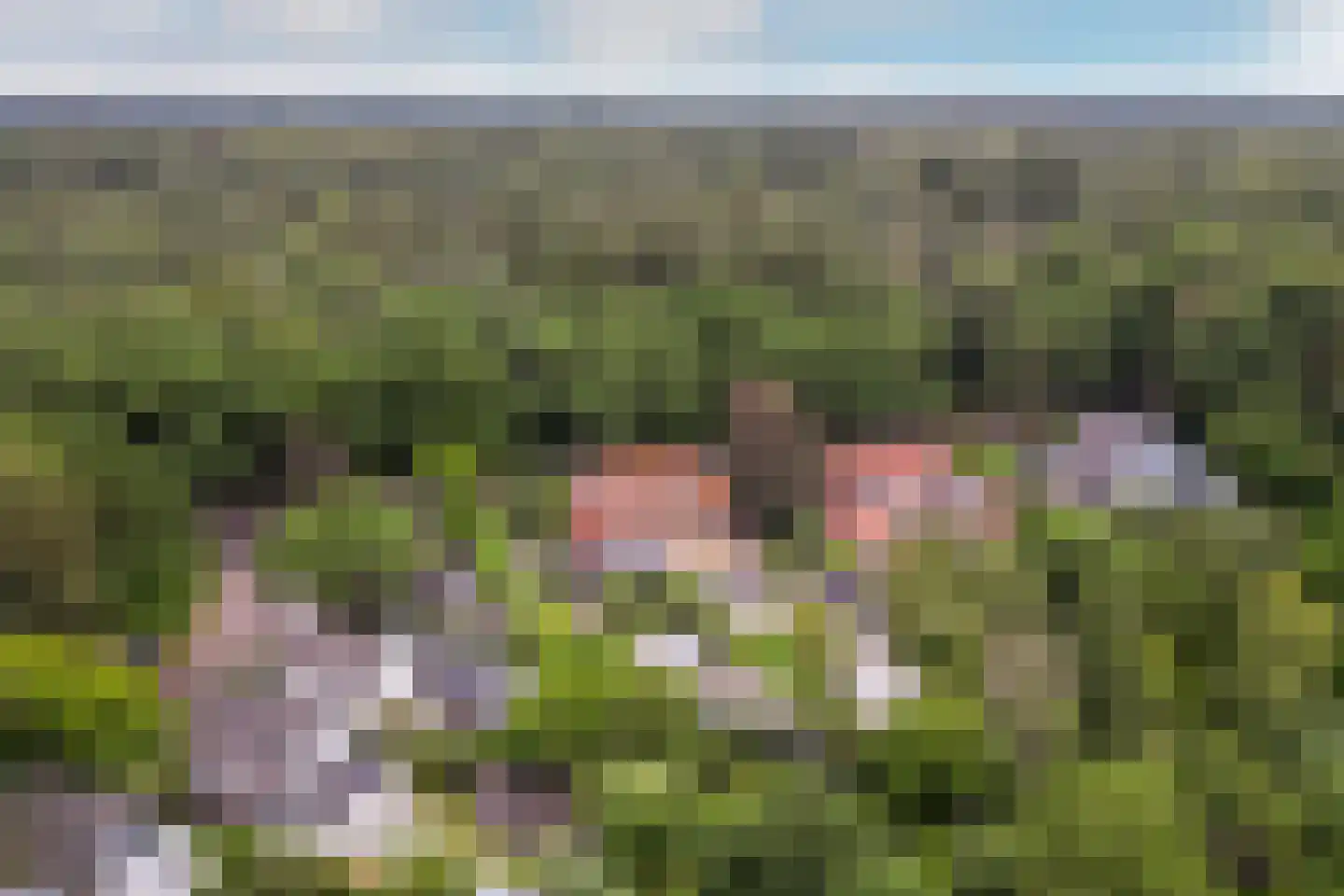 Montenslaan 26 Breda thumbnail 64