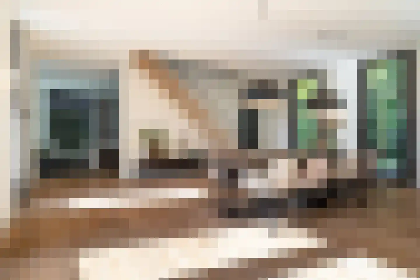 Montenslaan 9 Breda thumbnail 19