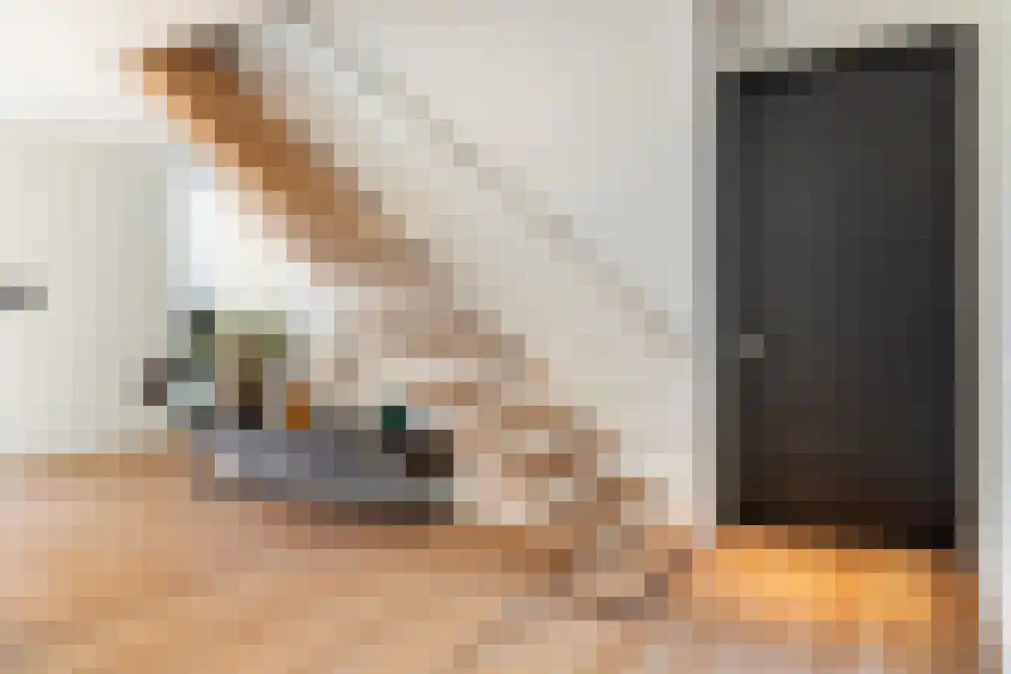 Montenslaan 9 Breda thumbnail 27