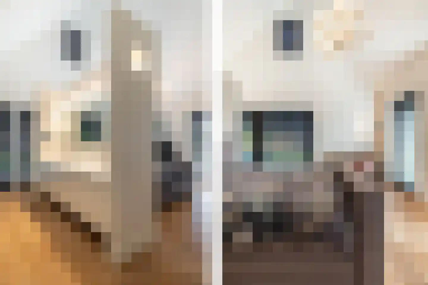 Montenslaan 9 Breda thumbnail 32