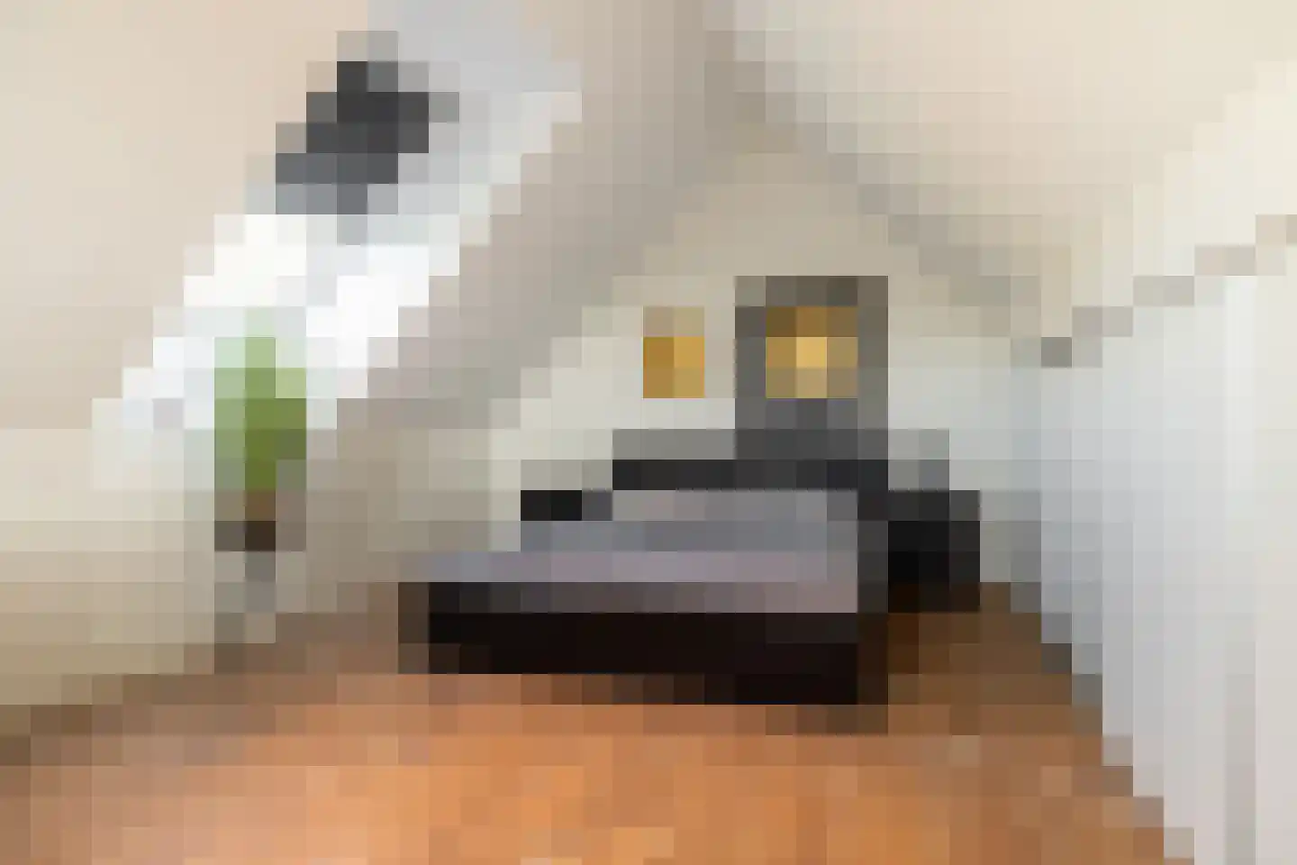 Montenslaan 9 Breda thumbnail 41