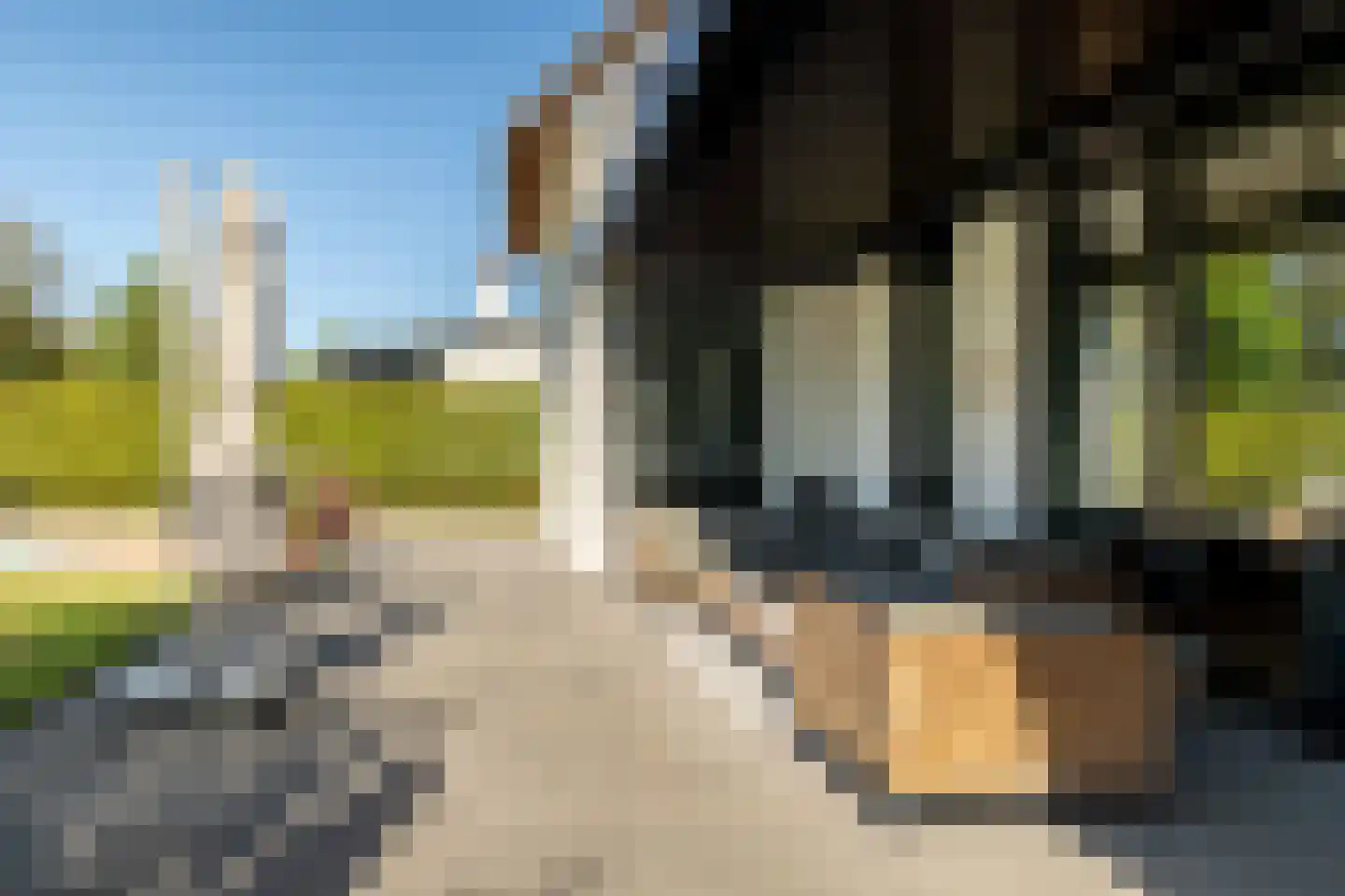 Montenslaan 9 Breda thumbnail 46