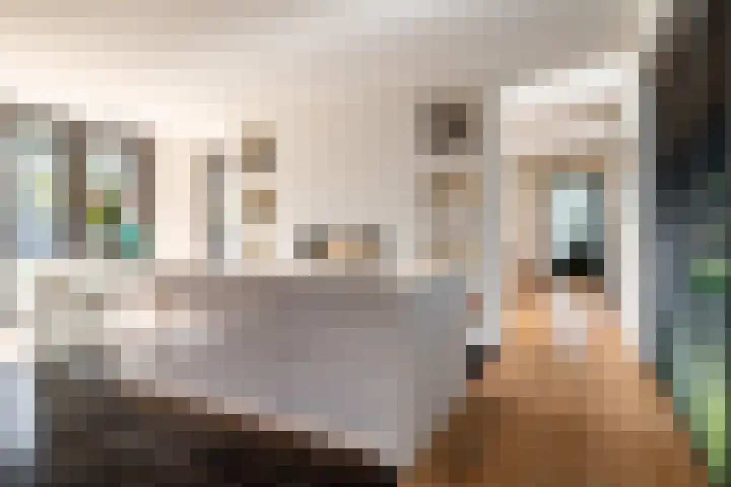 Montenslaan 9 Breda thumbnail 9