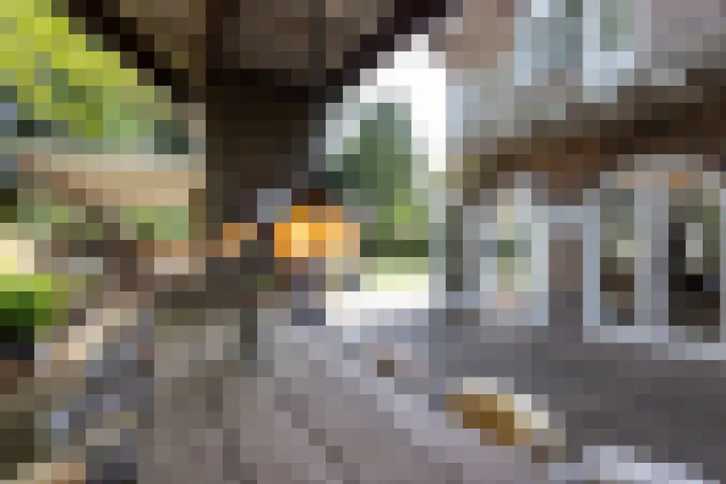 Montenspark 1 Breda thumbnail 19