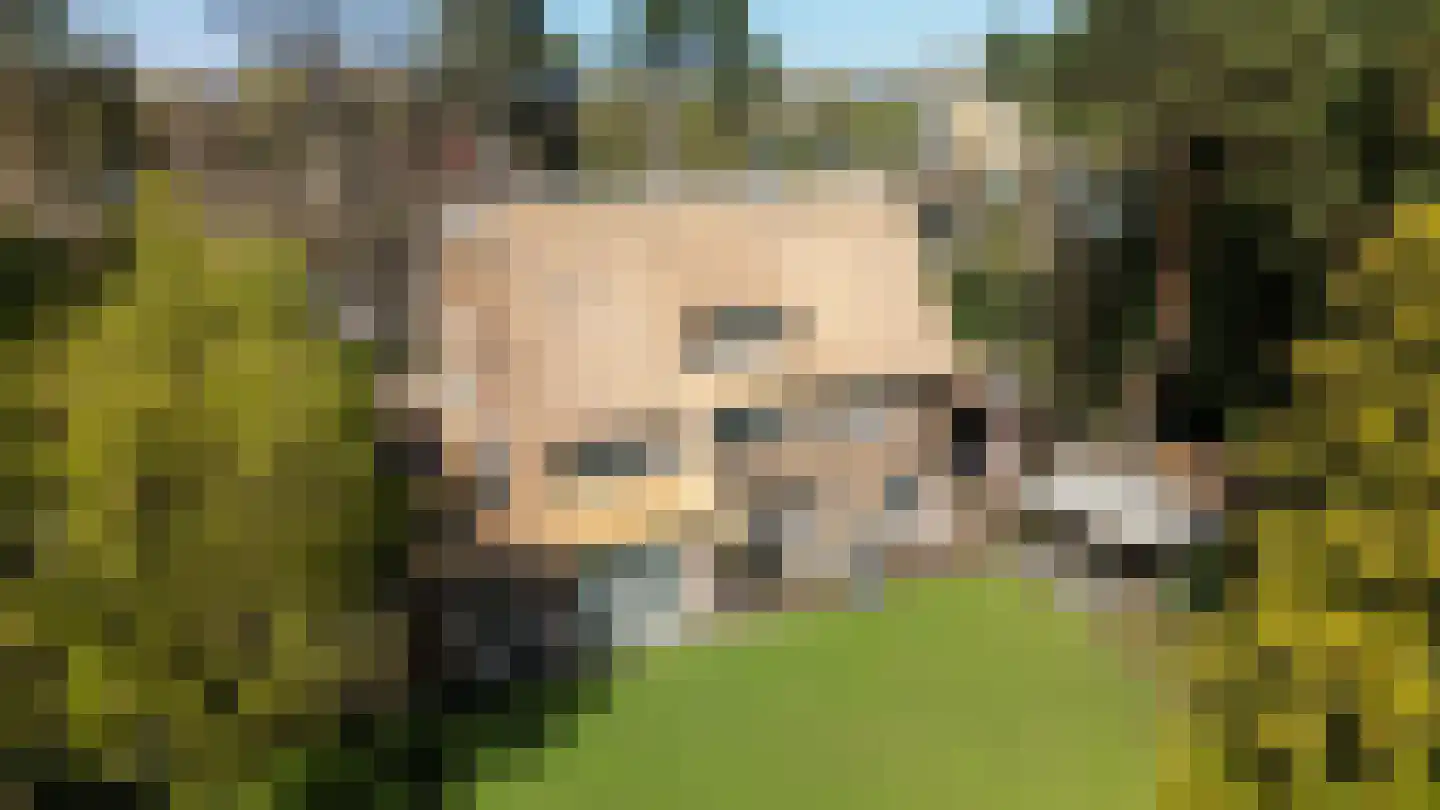 Montenspark 1 Breda thumbnail 22