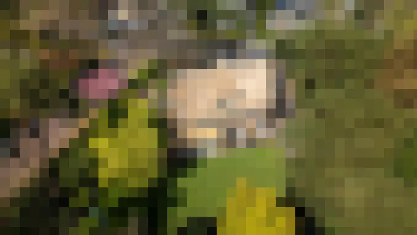 Montenspark 1 Breda thumbnail 24
