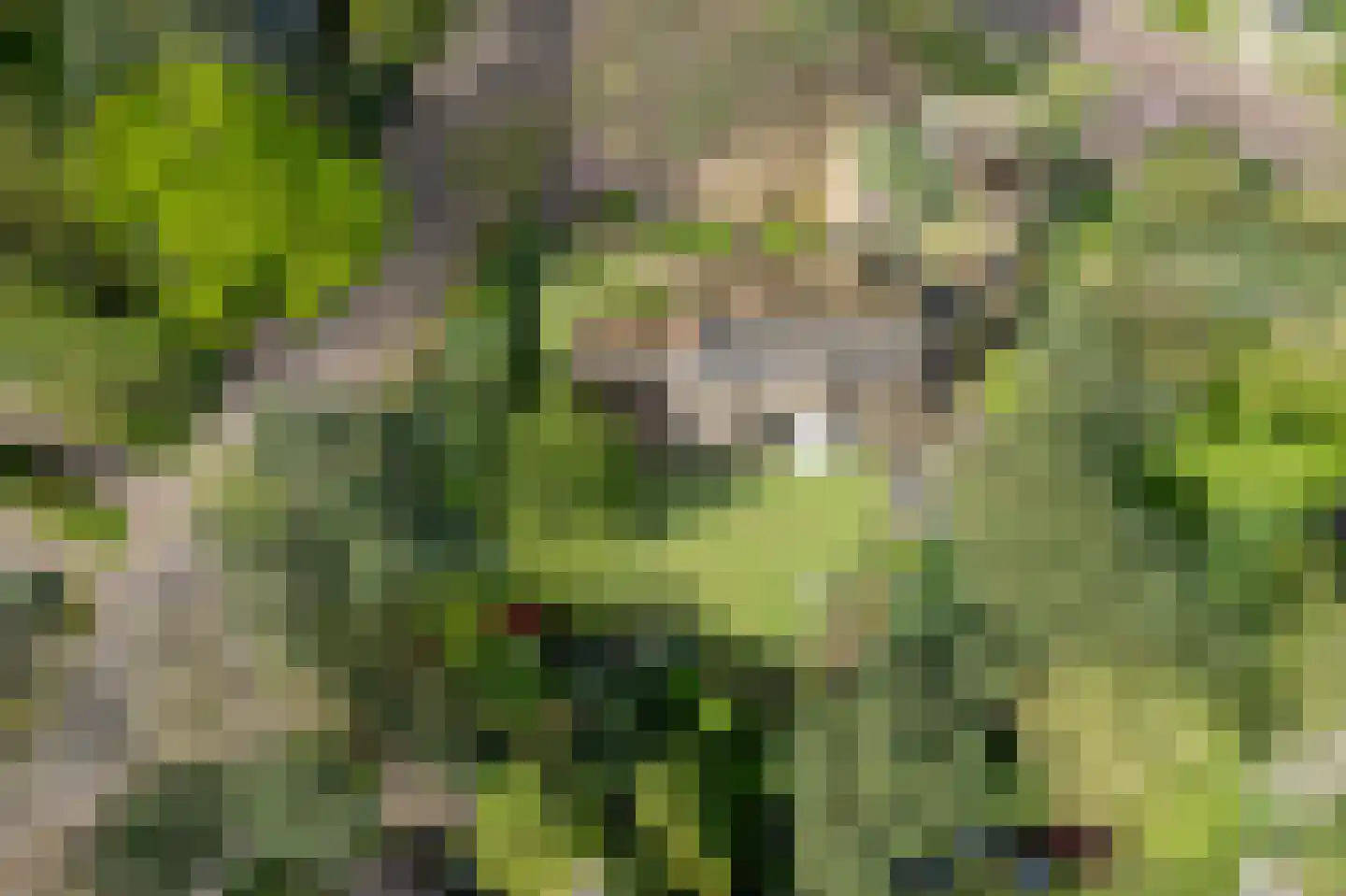 Montenspark 1 Breda thumbnail 25
