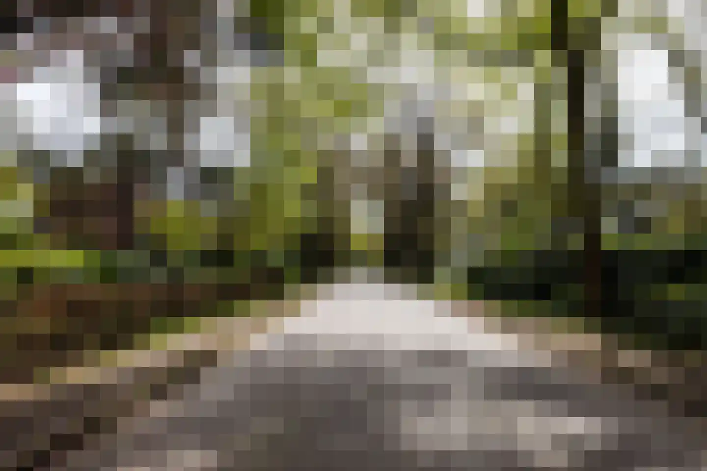 Montenspark 1 Breda thumbnail 27