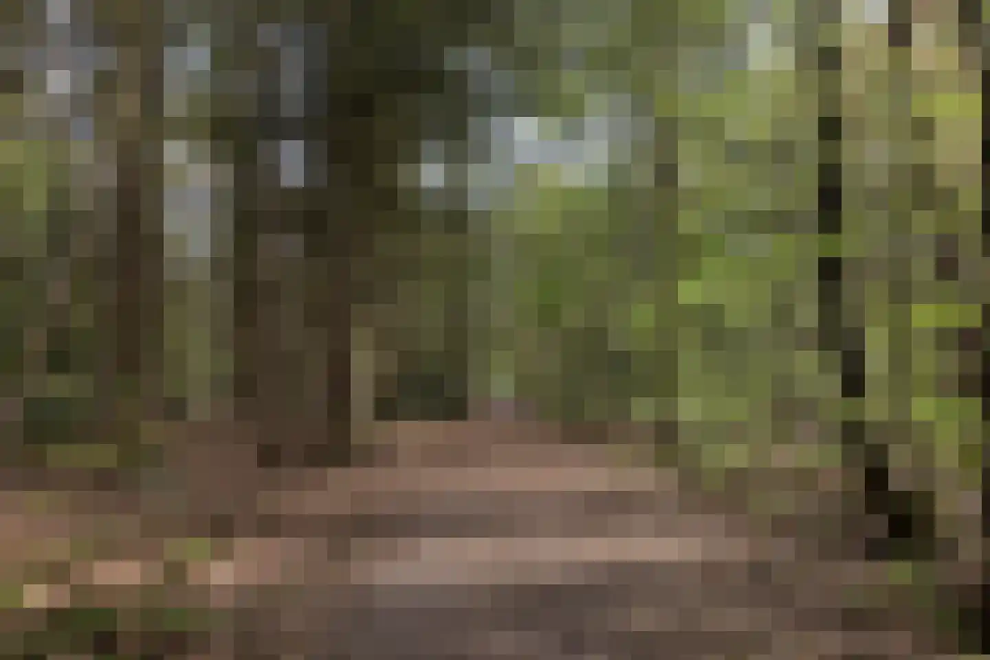 Montenspark 1 Breda thumbnail 28