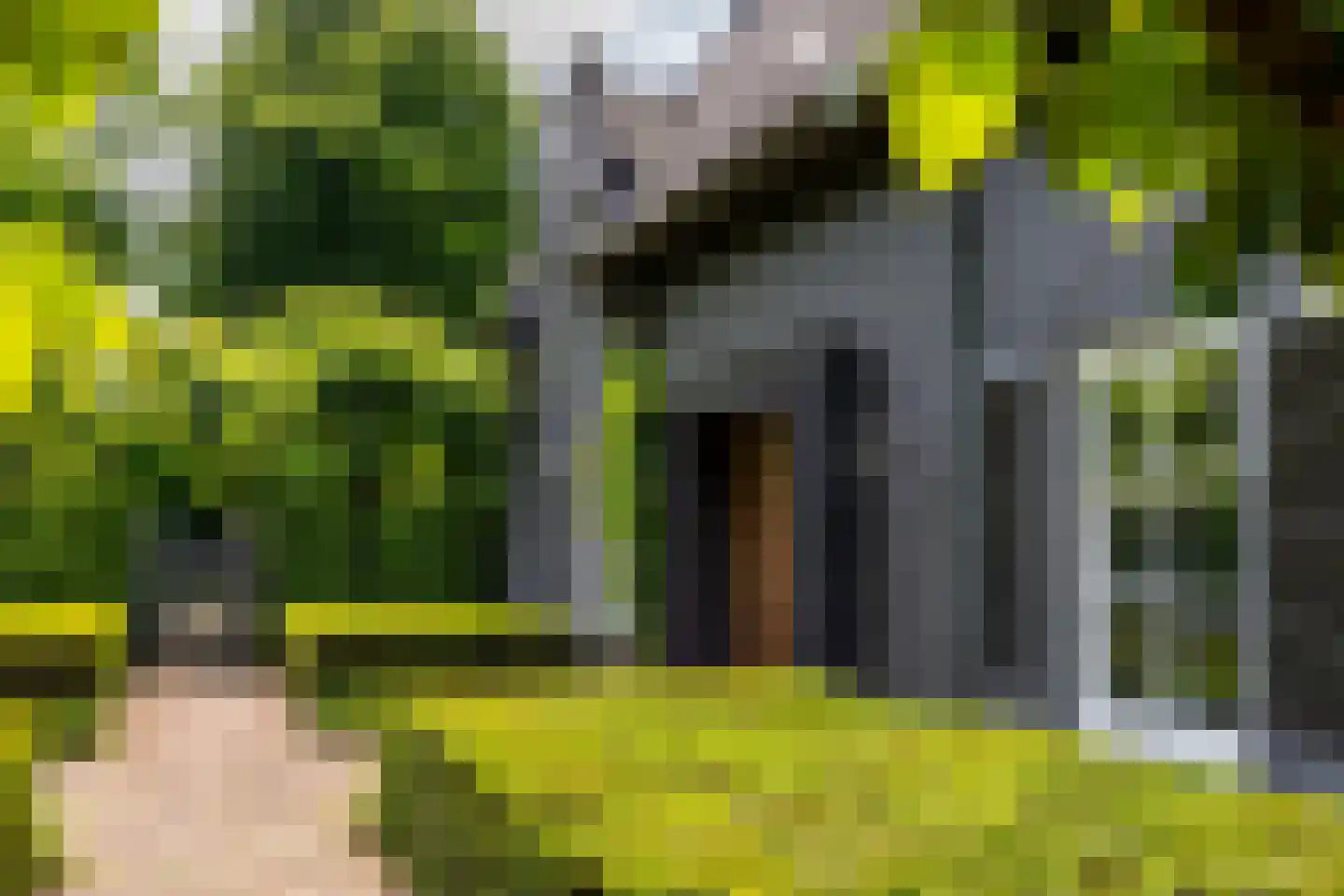 Montenspark 2 B Breda thumbnail 10