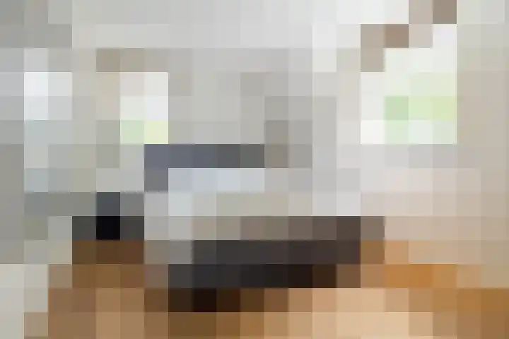 Montenspark 2 B Breda thumbnail 20