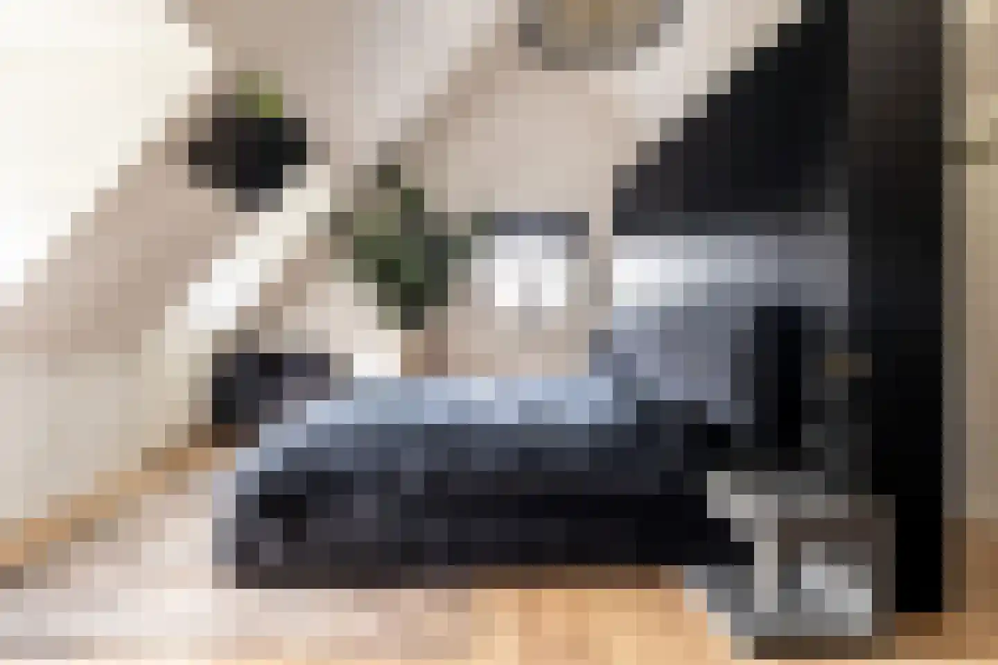 Montenspark 2 B Breda thumbnail 33